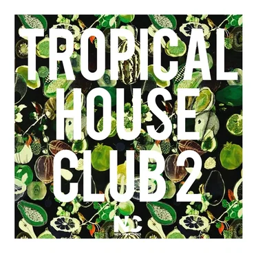Tropical House Club 2 by Various Artists - album cover