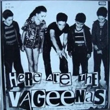 Here Are The Vageenas by The Vageenas - album cover