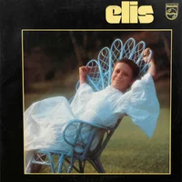 Elis Regina artist image
