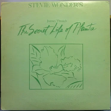 Stevie Wonder’s Journey Through the Secret Life of Plants