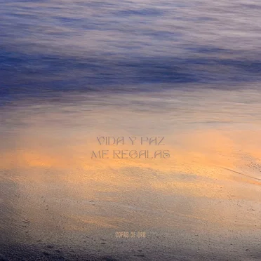 Vida y Paz Me Regalas by Copas de Oro - album cover