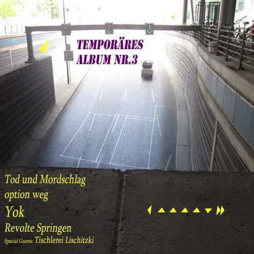 Temporäres Album Nr. 3 (Eine Art Sampler)