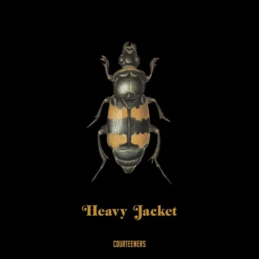 Heavy Jacket by The Courteeners - album cover