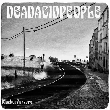 Mocker Fuzzers by Dead Acid People - album cover