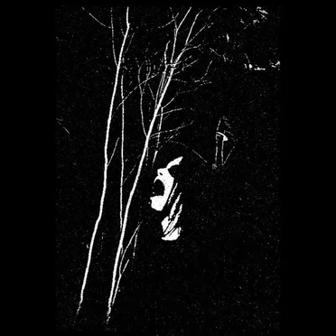 Upon Sylvan Thrones by Sanguine Myst - album cover
