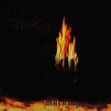 Burning Down by Forgot - album cover