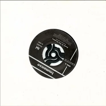 Death to the Gremlins by Immense - album cover