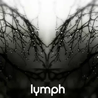 Lymph by Nuform - album cover