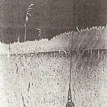 Basement Seed