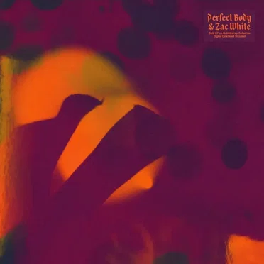Perfect Body / Zac White by Perfect Body - album cover