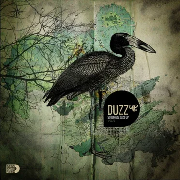 DuzzUp, Volume 2 by Various Artists - album cover