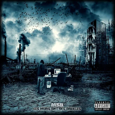 Les murs ont des oreilles by Msb - album cover