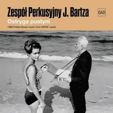 Ostryga pustyni by Zespół Perkusyjny Jerzego Bartza - album cover