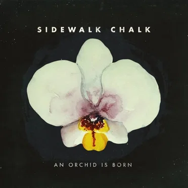 An Orchid Is Born