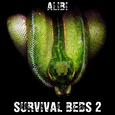 Survival Beds, Vol. 2 by Alibi Music - album cover