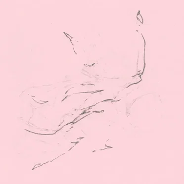 Lilies of The Fields by Angelic Activity - album cover