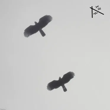 Dreaming by 2 A.M Talk - album cover
