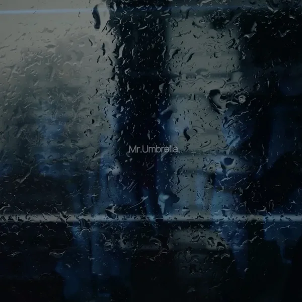Mr.Umbrella