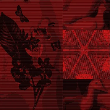 Of Quiet Birds in Circling Flight