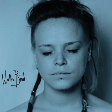 Wallis Bird by Wallis Bird - album cover