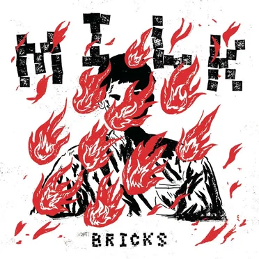 Bricks