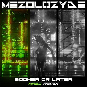 Sooner or Later (Nrec "The Day After Covid" remix)