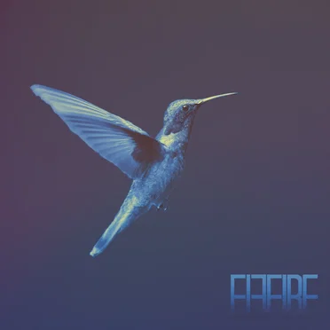 Colibri