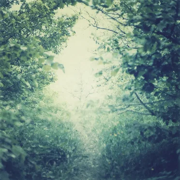 Somewhere In Between