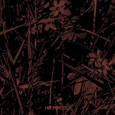 HH:MM:SS by ashlyninstereo - album cover