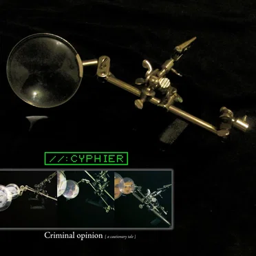 Criminal Opinion (A Cautionary Tale)