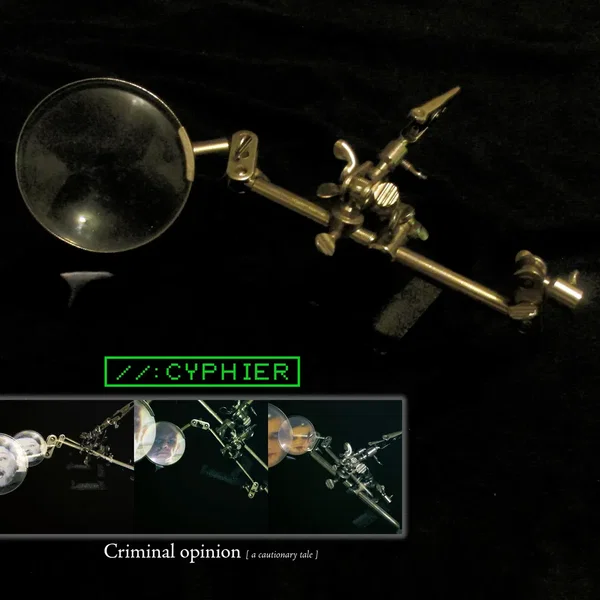 Criminal Opinion (A Cautionary Tale)