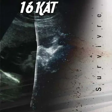 Survivre by 16 Kat - album cover