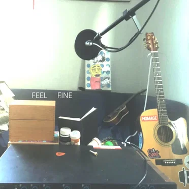 Feel Fine