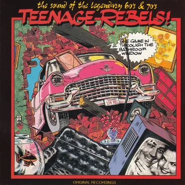 Teenage Rebels! - She Came in Through the Bathroom Window by Various Artists - album cover