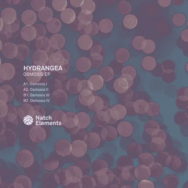 Osmosis EP by Hydrangea - album cover
