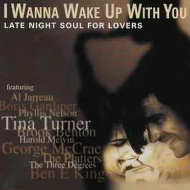 I Wanna Wake Up With You by Various Artists - album cover