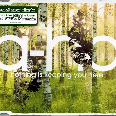 Nothing Is Keeping You Here