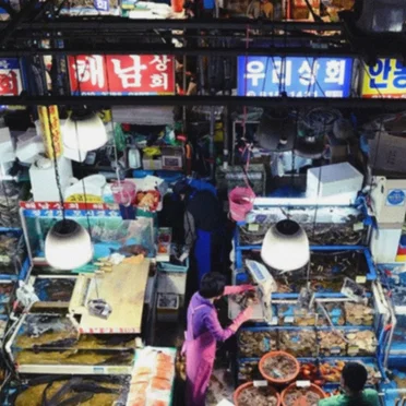 마산어시장