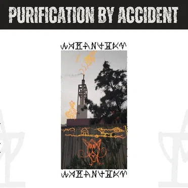 PURIFICATION BY ACCIDENT
