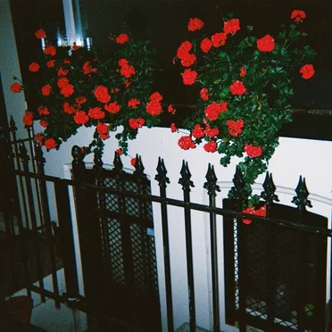Blood Club