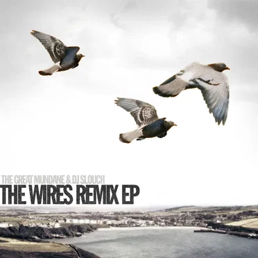 The Wires by The Great Mundane - album cover
