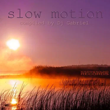 Slow Motion by DJ Gabriel - album cover