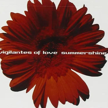 Summershine by Vigilantes of Love - album cover
