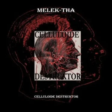Celluloide Destruktor
