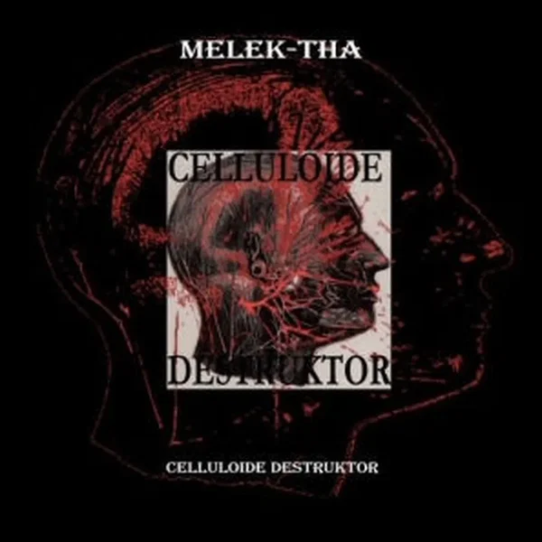 Celluloide Destruktor
