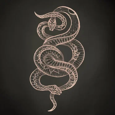 The Serpent by Annicke Shireen - album cover