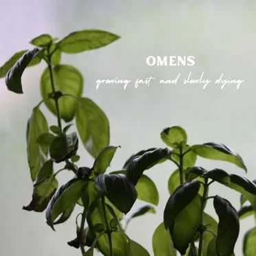 Growing Fast And Slowly Dying by Omens - album cover