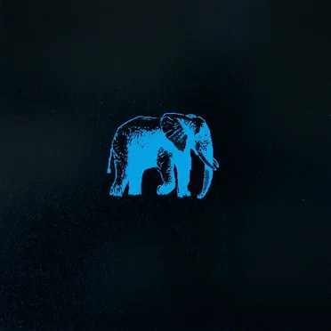 An Elephant Never Forgets by An Elephant Never Forgets - album cover
