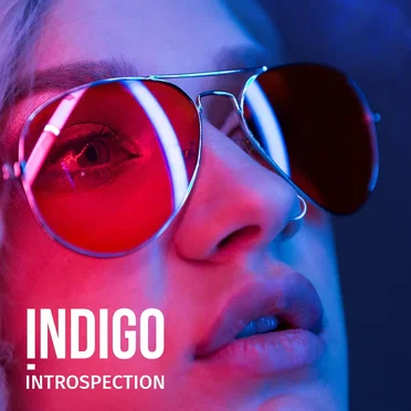 Introspection