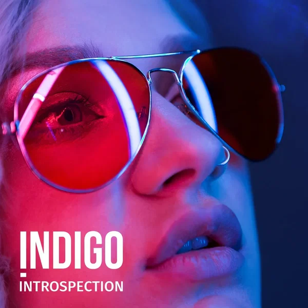 Introspection